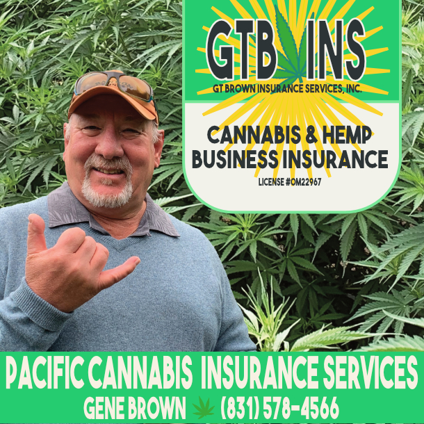 A man smiling, making a thumbs-up gesture in front of a lush cannabis plant background, with an overlay text for gtb insurance services promoting cannabis and hemp business insurance.