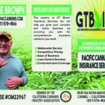 A smiling man gesturing a thumbs-up, wearing a cap. background includes green elements and text about cannabis and hemp business insurance services offered by gtb insurance with contact details.