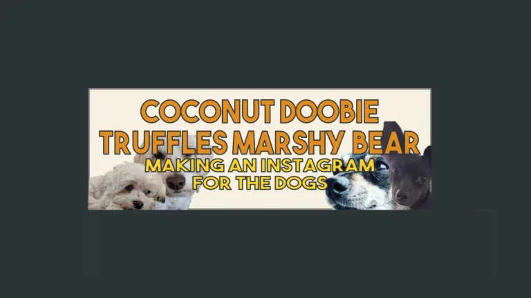 A banner featuring the text "coconut doobie truffles marshy bear making an instagram for the dogs" with a montage of various dog faces peeking from behind the letters.